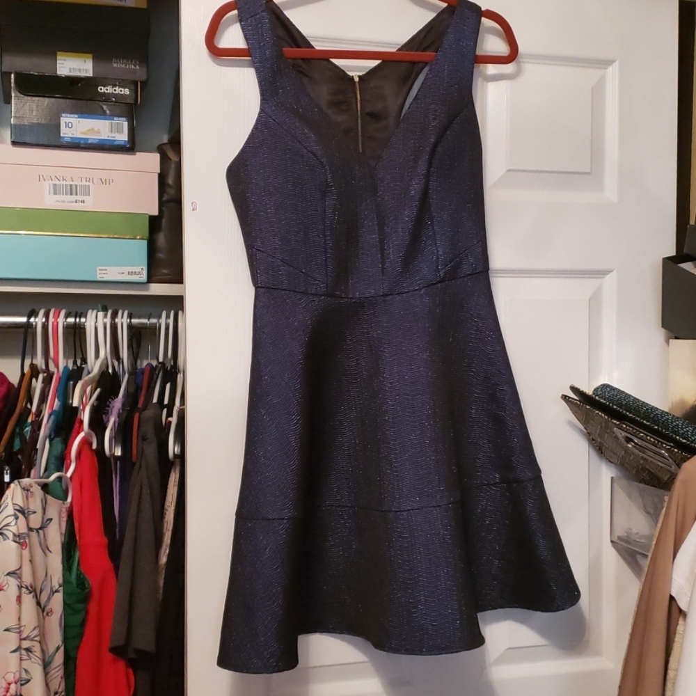 Express fit and flare dress